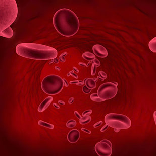 2. Apply Consistently